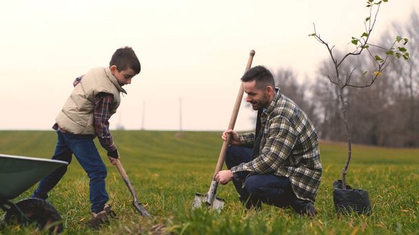 Отец и сын сажают вместе дерево  - Фото, изображение