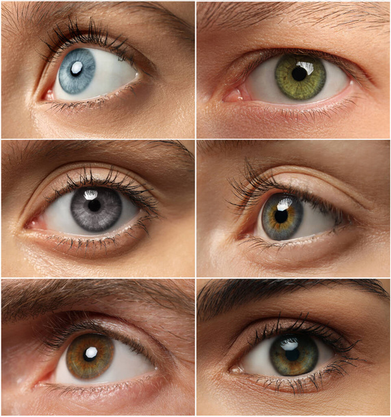 Collage with photos of people with beautiful eyes of different colors - Fotografie, Obrázek