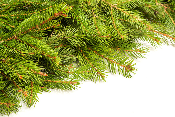Christmas background. Eve framework - Foto, Imagem