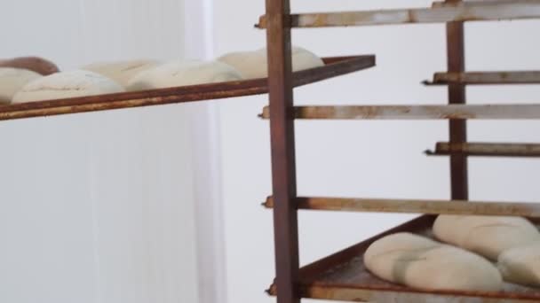 Pečený pšeničný chléb, který leží na tácu na pečení, je naložen na kovový vozík pro pekaře, pomalý pohyb - Záběry, video