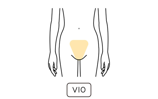 Illustration of female hair removal by part, VIO - Vektori, kuva