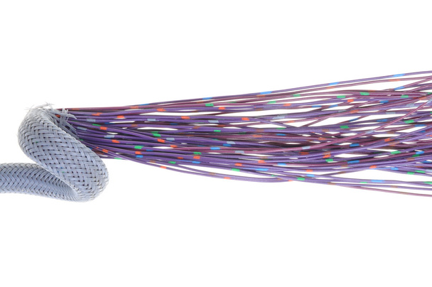 Lila elektromos vezetékek kábel pajzs - Fotó, kép