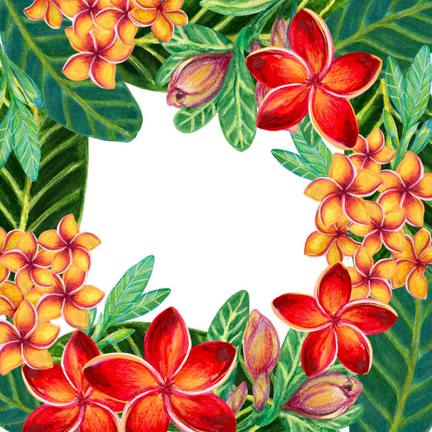 Hand painting watercolor illustrationinspired by Plumeria Frangipaniplants leaf greeting template frame on white - Fotoğraf, Görsel