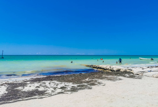 Holbox Mexico 16. May 2022 Panorama landscape view on beautiful Holbox island sandbank and beach with waves turquoise water and blue sky in Quintana Roo Mexico. - Foto, Imagen