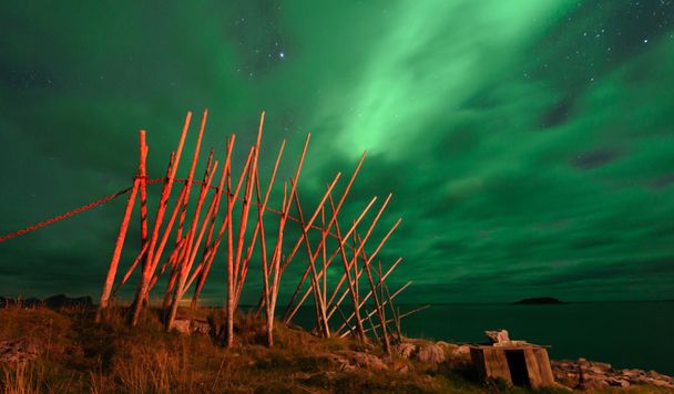 die Polarlichter in Norwegen - Foto, Bild