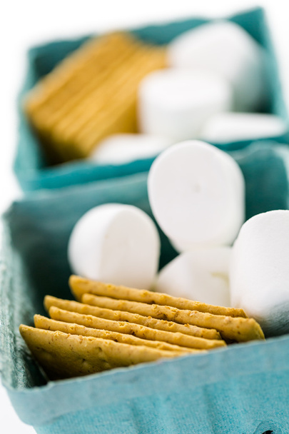 Smores station with large white marshmallows - 写真・画像