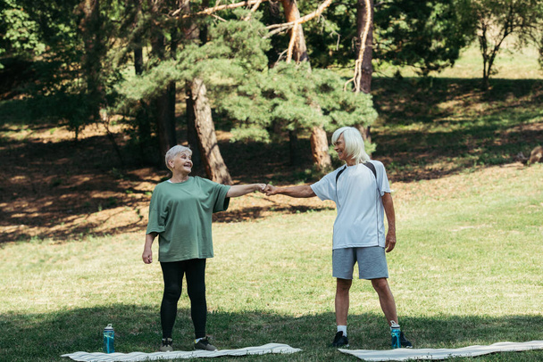 full length of senior woman holding hands with husband near fitness mats in park  - Fotografie, Obrázek