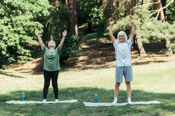 full length of cheerful senior man and woman with raised hands exercising on fitness mats in park - Foto, immagini