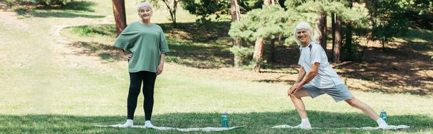 full length of senior man with grey hair smiling and doing lunges on fitness mat near wife in park, banner - 写真・画像