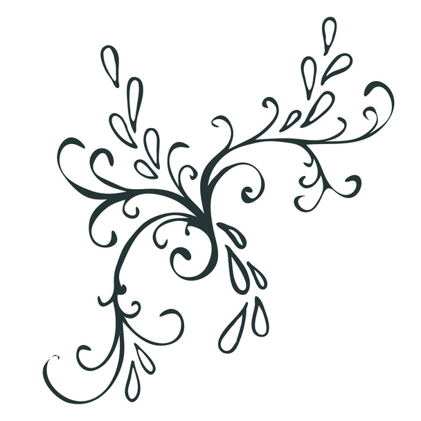 Calligraphic design element - Vector, imagen