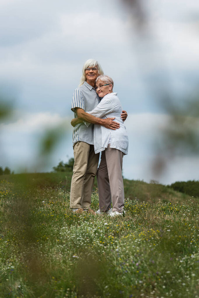 happy senior husband and wife with grey hair hugging on green hill with blurred foreground - Fotoğraf, Görsel