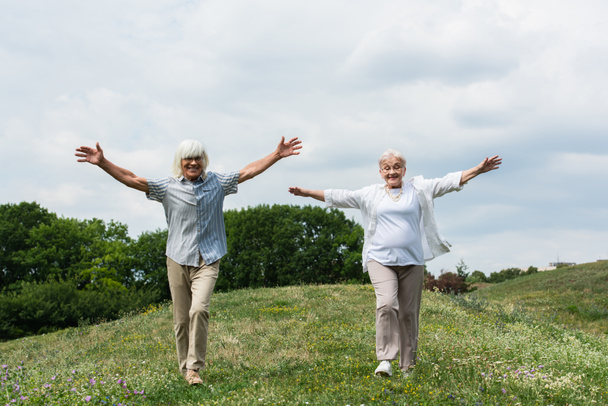 full length of happy senior couple in glasses and shirts walking with outstretched hands on green hill  - Fotoğraf, Görsel
