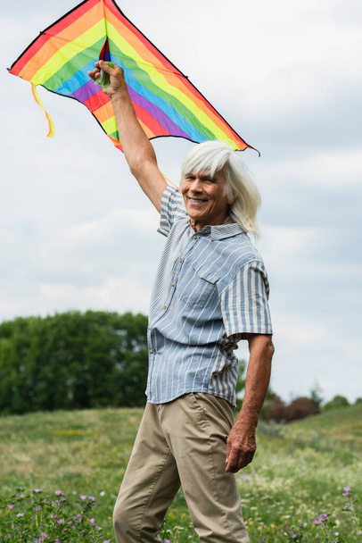 happy senior man in casual clothes holding kite and standing on green hill  - Valokuva, kuva
