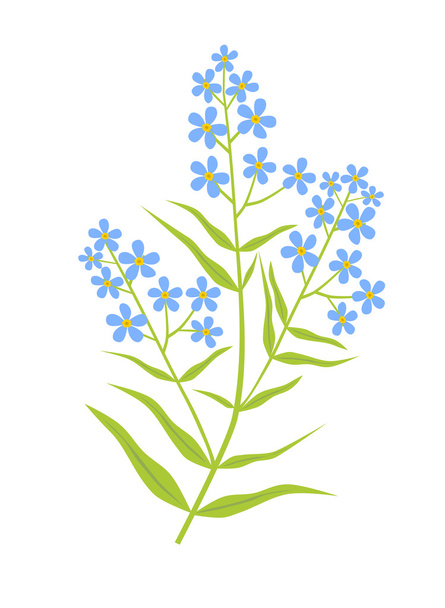 Flores azuis
. - Vetor, Imagem