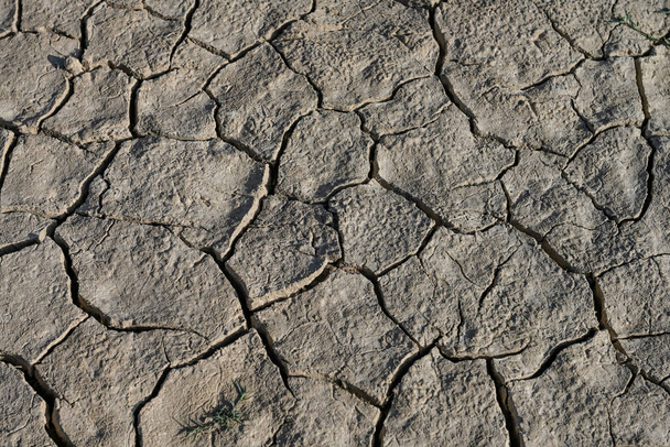 Texture of dry land in southern Europe. Global warming and greenhouse effect - Foto, Imagen