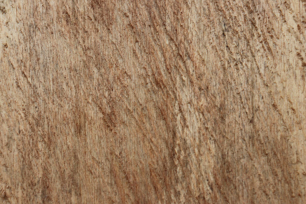 close up of wood cut texture - Photo, Image