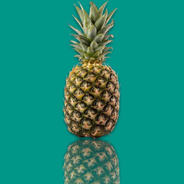 COLORED ILLUSTRATION. PINEAPPLE. COLORED BACKGROUND. FRUIT. - Фото, зображення
