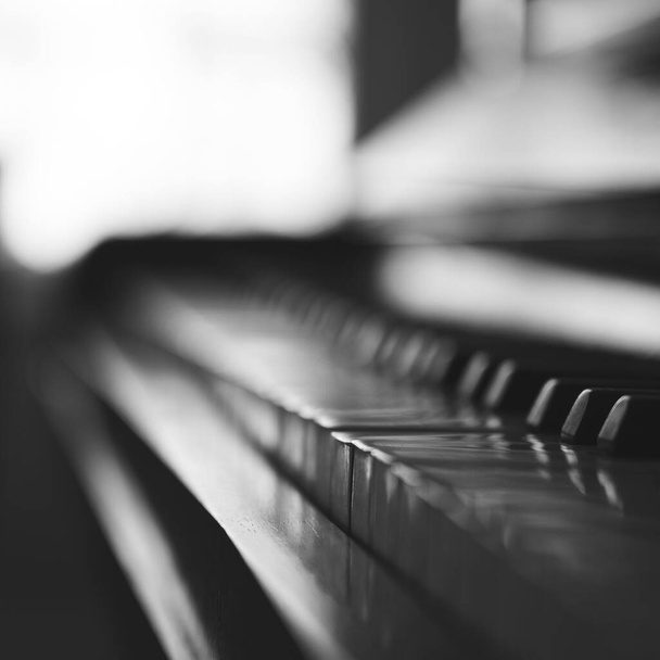 A closeup of piano keys in black and white - Foto, immagini