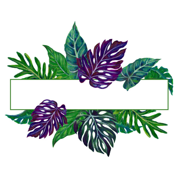 Watercolor illustration Botanical tropical monstera fern palm houseplants frame invitation label greetings hand painted - Foto, Imagem