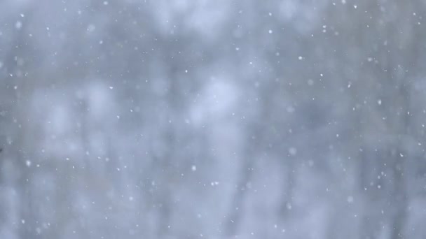 Natural phenomenon in winter, snow and wind blowing, view from the window in the house in the village, slow motion of snowflakes, slow motion video.new - Footage, Video