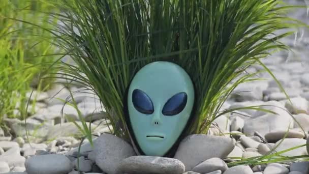 Alien μάσκα στο φόντο της φύσης - Πλάνα, βίντεο