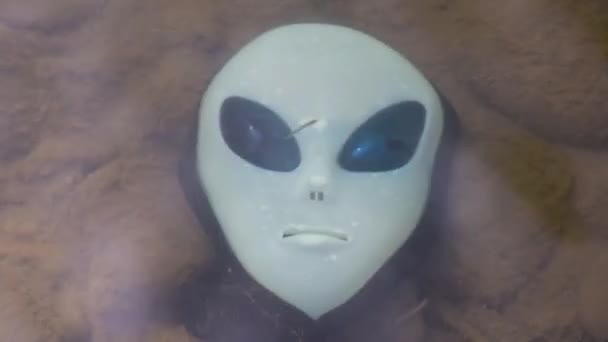 Alien mask on the background of nature - Filmati, video