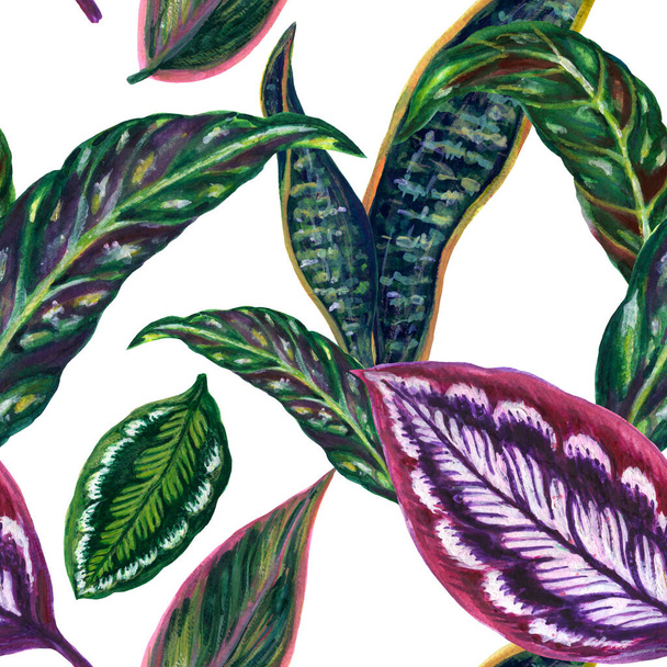 Акварель Синий и зеленый и вино иллюстрации листвы коллекция листьев чехлы тропические абстрактные листья бесшовные картины вручную окрашены - Фото, изображение