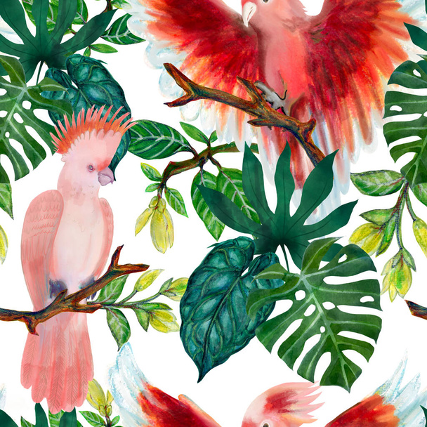 Seamless pattern cockatoo pink birds and tropical leaves monstera foliage branch wildflower for interior - 写真・画像