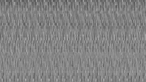 Black and white digital glitch. Damage to the video signal with pixel noise and stroboscopic effect. Pixel grain. Abstract noise of analog television. Glitch. - Footage, Video