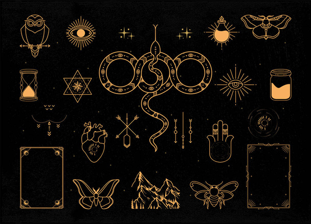 Mystical and celestial elements detailed and easy to edit - Vector, imagen