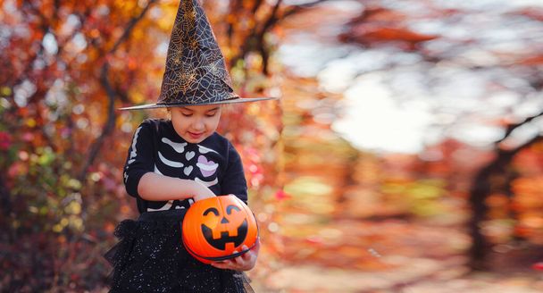 Young girl in black costume goes trick or treating. Little witch, Kids with jack-o-lantern. Children with candy bucket in fall forest. Happy Halloween. - Fotografie, Obrázek