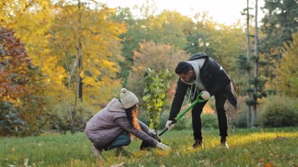 Group young people volunteers environmental protection organizations plant tree in autumn park take care nature guy digs seedling with shovel eco activists protect natural plants concept active hobby - Imágenes, Vídeo