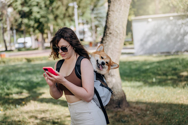 Young woman traveler is walking outdoors and using phone in city parkland with dog Welsh Corgi Pembroke in a special backpack  - Fotografie, Obrázek