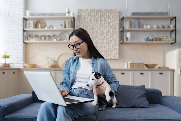 Young beautiful asian woman in the kitchen teenager wearing glasses using laptop student girl studying at home woman sitting on sofa with pet dog jack russell terrier.. - Foto, Bild