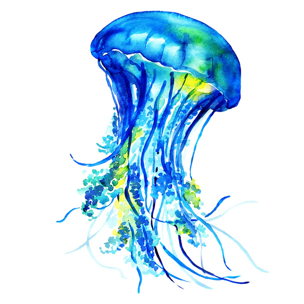 Óceán víz medúza - Fotó, kép