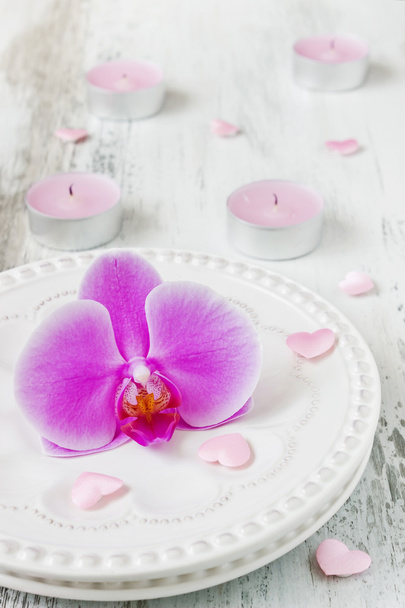 фіолетовий квітка орхідеї
 - Фото, зображення