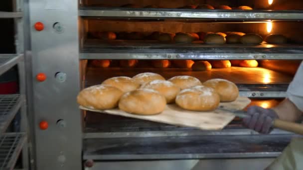 Kokki poistaa tuoreet leipomotuotteet uunista. Paistettu leipä poistetaan uunista leipomossa - Materiaali, video