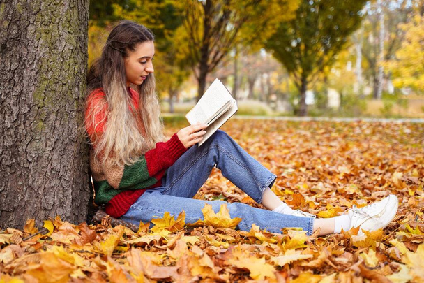 Pretty girl reads book in autumn park. Young woman sits on background of fallen yellow leaves. Leisure - Foto, Imagen