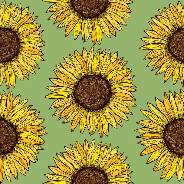 Seamless pattern with hand drawn sunflowers on green background. - Vector, Imagen