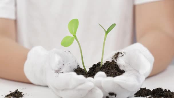 Fille en gants de coton blanc garde les plantules avec le sol et pièces en euros dans ses paumes. Images 4k de haute qualité - Séquence, vidéo