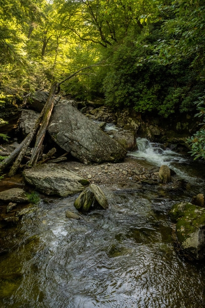 Enloe Creek Flows Around Large Boulders and Downed Trees in Great Smoky Mountains National Park - 写真・画像