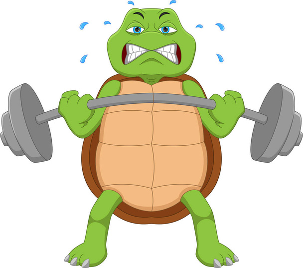 Мультфильм милый черепаха поднимает тяжести - Вектор,изображение