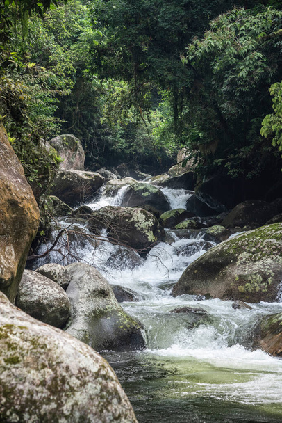 View to beautiful green rainforest jungle river, countryside of Rio de Janeiro, Brazil - Fotoğraf, Görsel