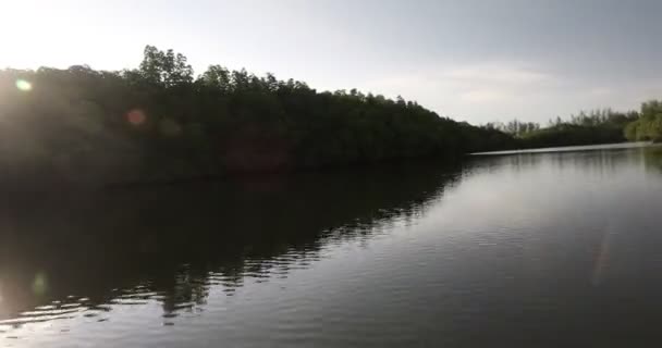Camara shake hating wave riding gliding floating flying over sea water mangrove forest on speedboat  - Metraje, vídeo