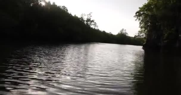Camara shake hating wave riding gliding floating flying over sea water mangrove forest on speedboat  - Filmati, video