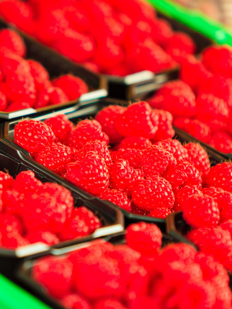 Raspberries in containers - Fotó, kép