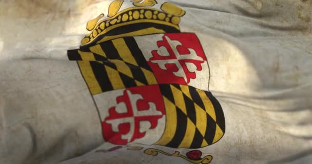 Старый флаг графства Энн Арундел, штат Мэриленд, США - луп - Кадры, видео