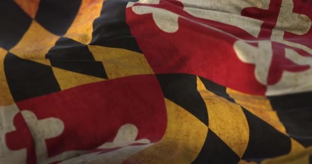 Old Flag of american state of Maryland, United States, waving at wind. Loop - Video