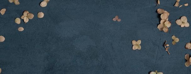 Сухие осенние или зимние листья на темном текстурированном бетонном фоне с копировальным пространством. Высокое качество фото в баннерном формате - Фото, изображение
