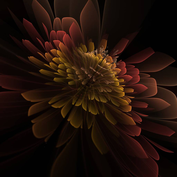Dunkle fraktale Blume, digitales Kunstwerk für kreatives Grafikdesign - Foto, Bild